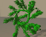 Coplanar Shadowgram Imaging