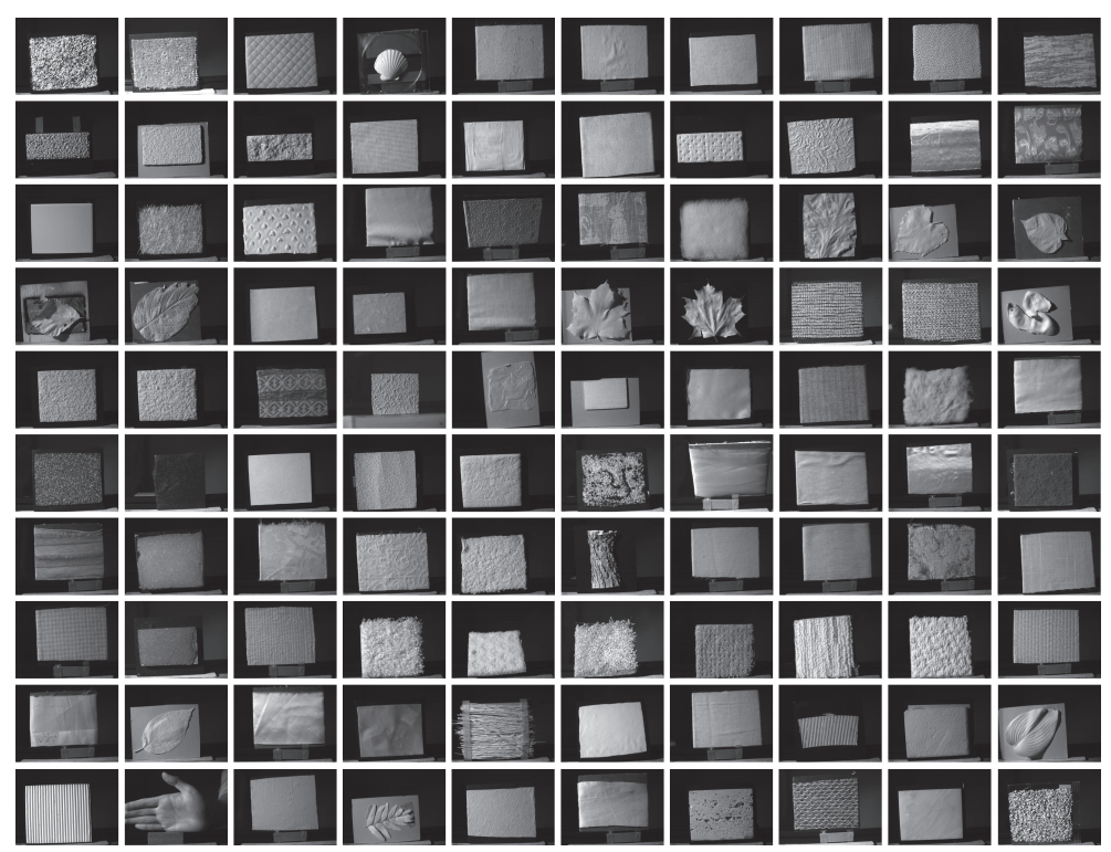 Near-IR BRDF and Fine Scale Geometry (NISAR Database)