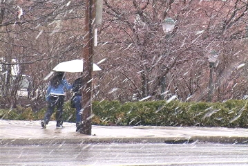 snowyWalkers_small.jpg