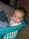 Caleb in the laundry basket.