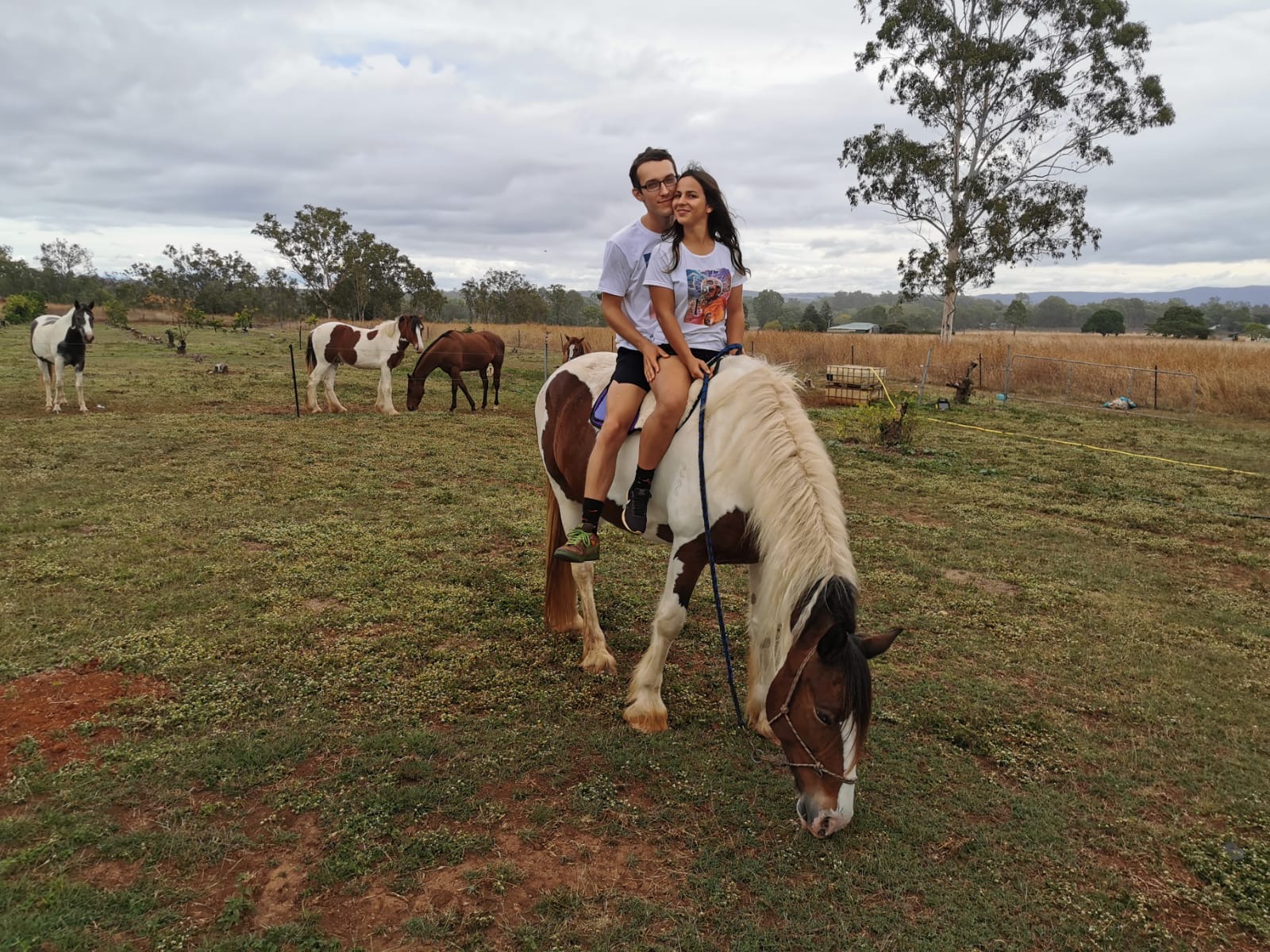 Patrick and Paloma, Wedding in Australia, June 6, 2020