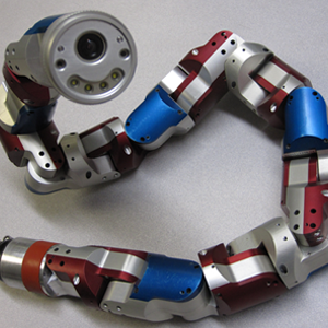 Biorobotics Lab