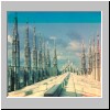 aligned-00211v.jpg