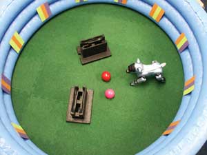 AIBO in pool