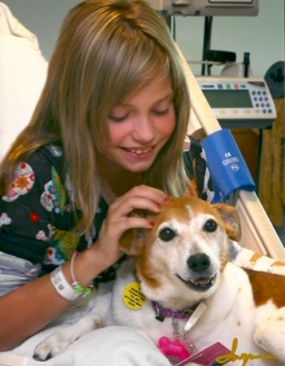 girl in a hospital bed smiling at a small black and white dog