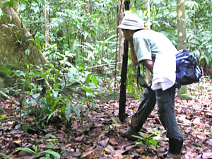 Monica, our guide