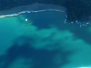 Pacific coast