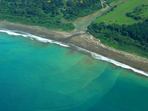 Pacific coast