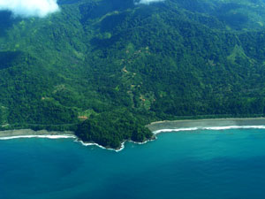 Pacific coast