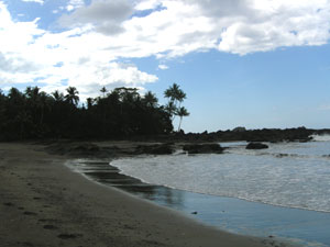 Manuel Antonio Beach