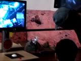 uh-oh.mov