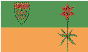 [Flag]