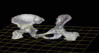 optimized pelvis alignment on seatcushion