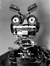 [ Black and White IT Image]