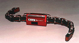 [Small Kaa Image]