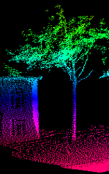 A LIDAR scan of a tree