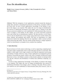 De identification thesis image