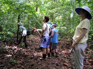 Our group on the rain forest hike, Corcovado National Park