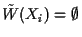 $\tilde{W}(X_i) = \emptyset$