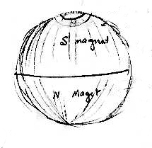 bare globe picture