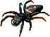 glowing spider