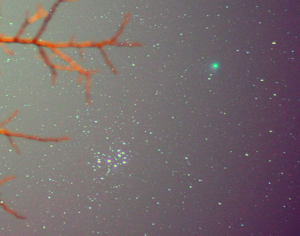 Comet C/2004 Q2 Machholz and M45, 2005/1/9