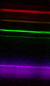 (11c) purple tube spectrum