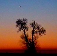 Venus before Sun rise, after the Leonid meteor shower of 2001/11/18.  Image taken with a camcorder from ORAS, PA. 