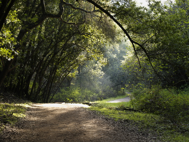 Light and shadow