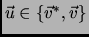 $\vec{u}\in\{\vec{v}^*,\vec{v}\}$