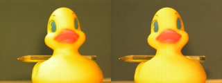 Stereo image of a Precision Duck