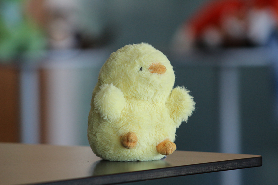 A stuffed chick.
