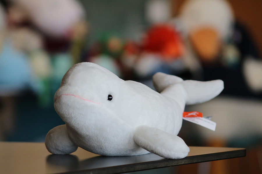 A stuffed dolphin.