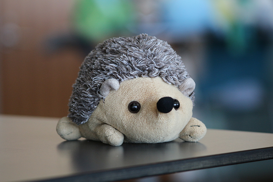 A stuffed hedgehog.
