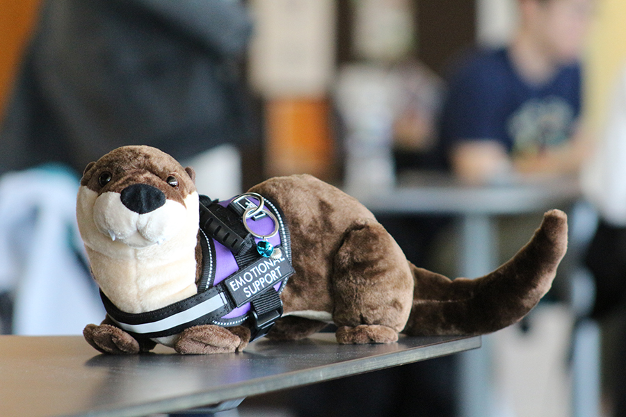 A stuffer otter wearing an Emergency Support Animal harness.