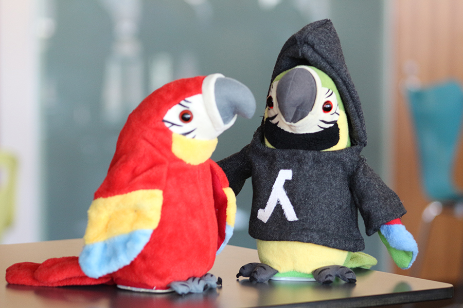 Two stuffed parrots, one wearing a gray hoodie with a Greek lambda symbol on it.
