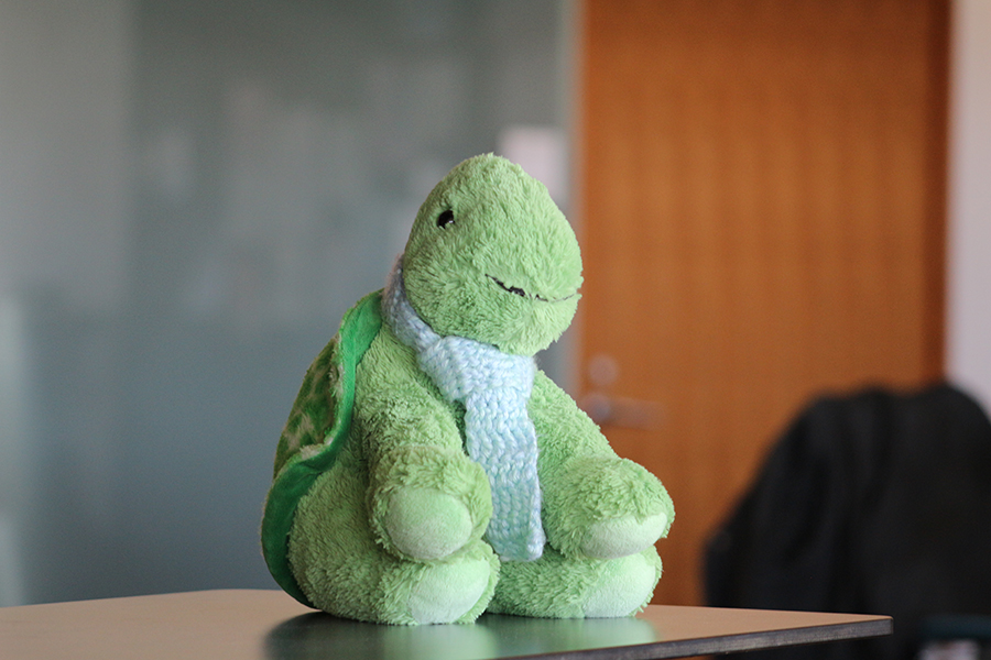 A stuffed turtle, sitting on its back legs.
