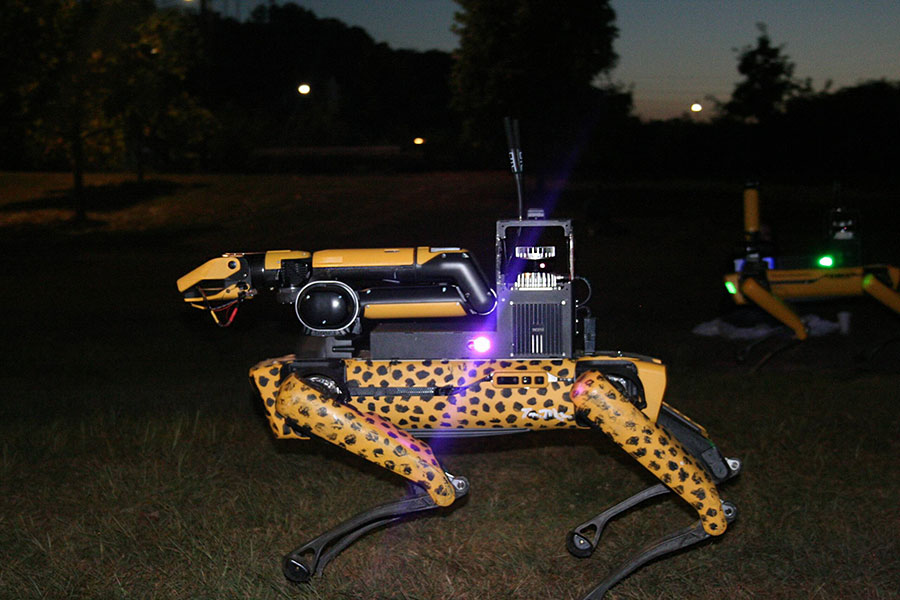  A four-legged robot, yellow with black spots, walks across the ground at night.