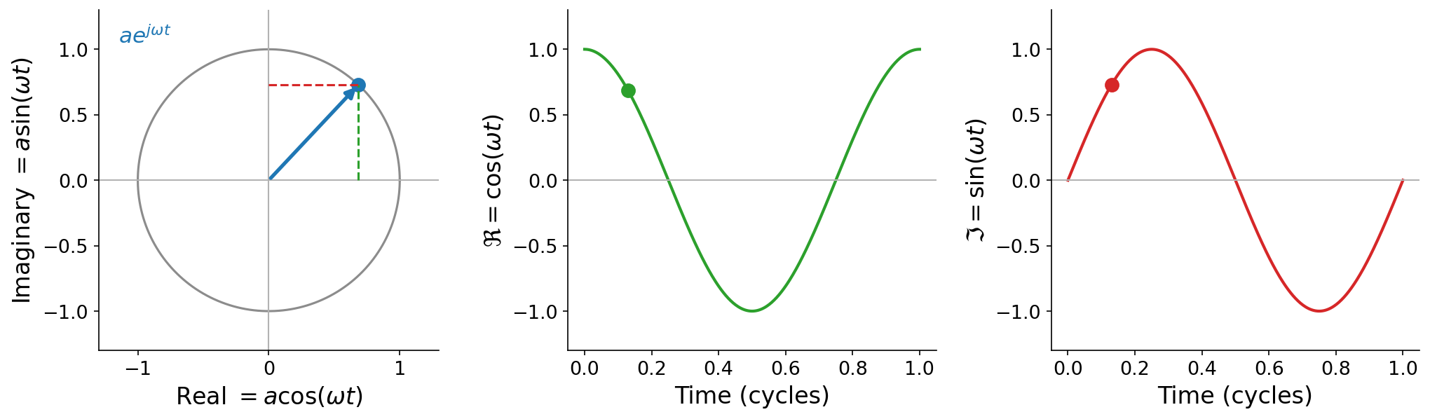 Left: a vector of length 1 in the complex plane pointing to a dot on the unit circle, with dashed lines projecting onto the real and imaginary axes. Middle: a cosine wave over one cycle, the real projection. Right: a sine wave over one cycle, the imaginary projection.