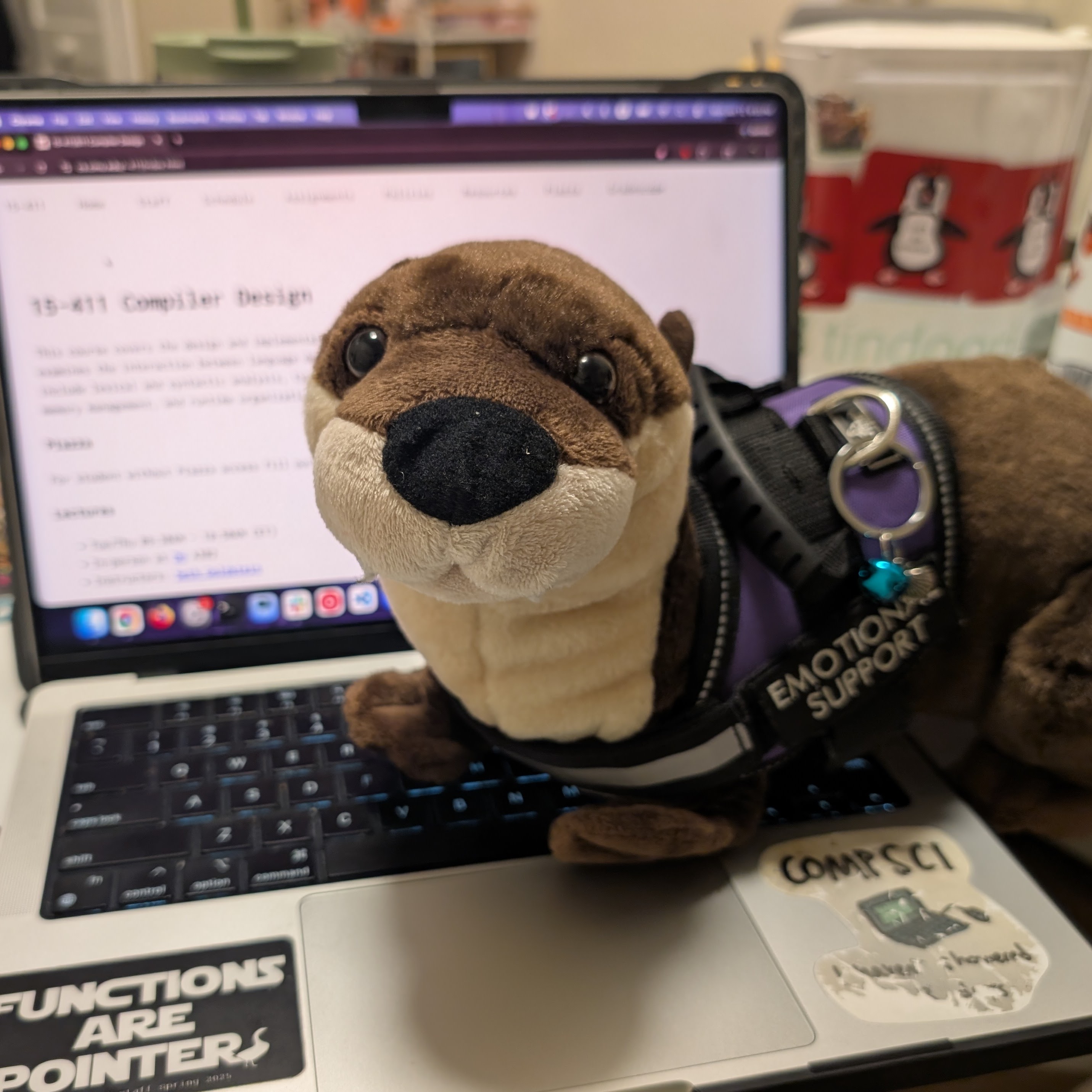 photo of Opal the Optimizing Otter