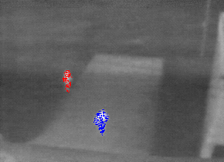 Click to Download MPEG