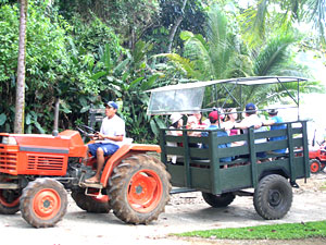 Tractor at Casa Corcovado