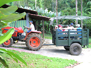 Tractor at Casa Corcovado