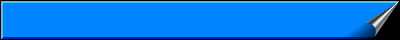 Blue Page Banner