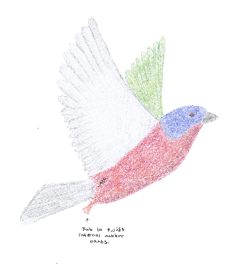 Image of Ornithopter