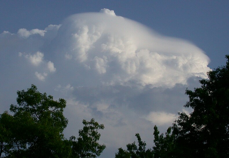 Pileus cloud penetrated  2004/5/17 (b)