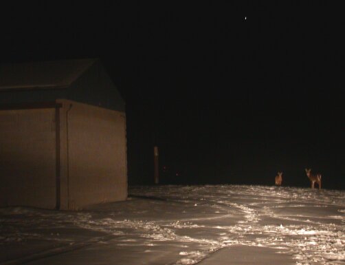 Wagman observatory in winter.  2003/1/30