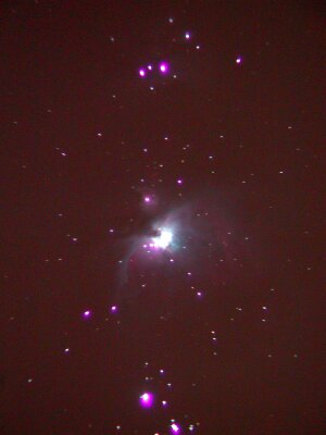 M42, M43 the Orion nebula